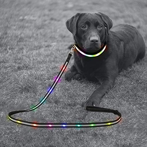 Yacig 4-крак led Каишка за кучета и X-Small (10,4 -14) Led нашийник за кучета, която се презарежда чрез USB, 7 Сменяеми Цветове, Яка и Каишка за нощни разходки на домашни любимци