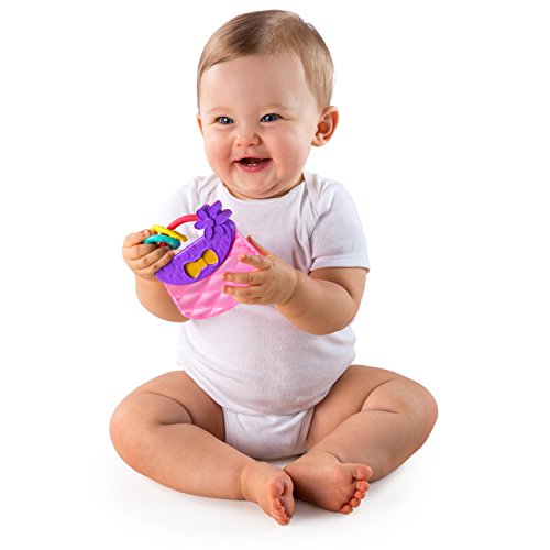 Охлаждаемая играчка-прорезыватель Bright Starts Carry & Teethe, на възраст от 3 месеца, Красива Розова