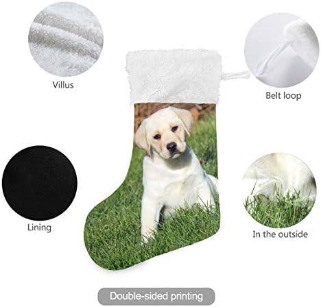 Коледни Чорапи ALAZA за Кученце Лабрадор, Класически Персонализирани Големи Чулочные Украса за Семейни Тържества, декорация