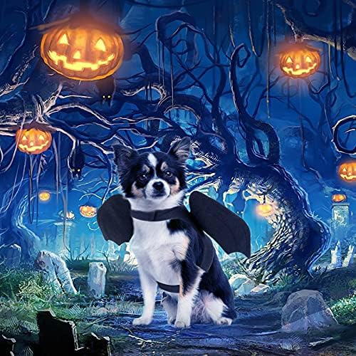 Костюм за Хелоуин RYPET Dog - Костюми за домашни любимци, с Крила на прилеп за Хелоуин за Кучета И Котки На Хелоуин Среден
