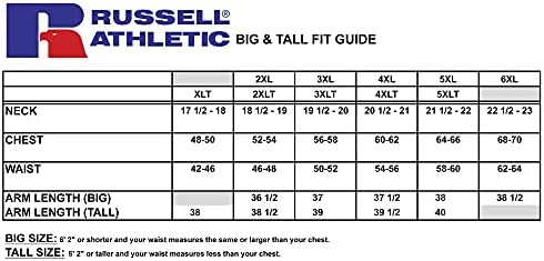 Мъжки hoody Russell Athletic Big and Tall с качулка - Пуловер отвътре с графичен модел Хедър Grey