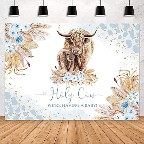 Avezano Highland Cow Фон за детската душа за Момче Holy Cow Highland Cattle Украса за парти в чест на детската душа Син