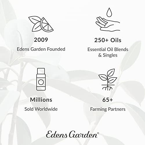 Етерично масло от корен галангала Edens Garden, Чист Терапевтичен Клас, Естествена Ароматерапия в Неразреден Вид